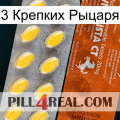 3 Крепких Рыцаря 42